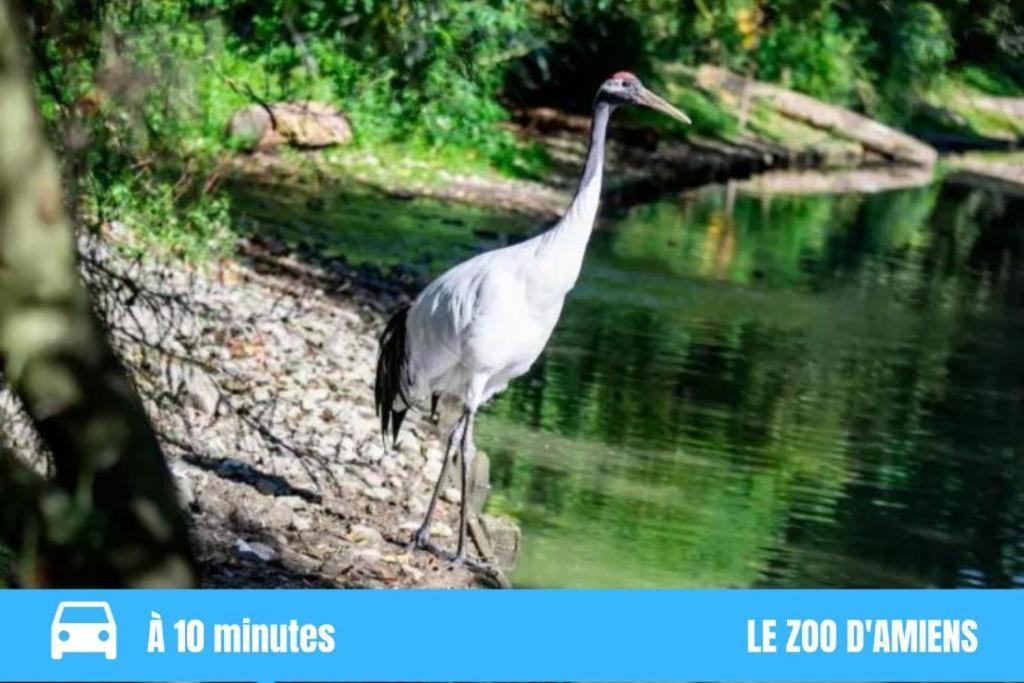 Grand T2 Gare Amiens Tout Confort 2Pers Wifi Eksteriør bilde
